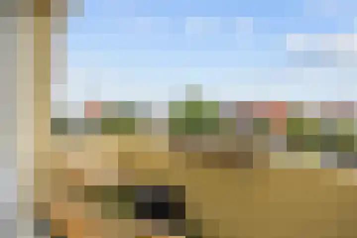 Damsterdiep 181 Groningen thumbnail 18