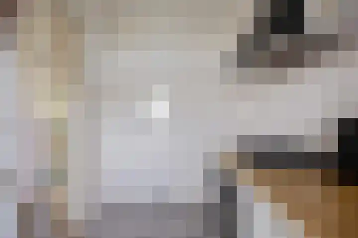 Damsterdiep 181 Groningen thumbnail 22