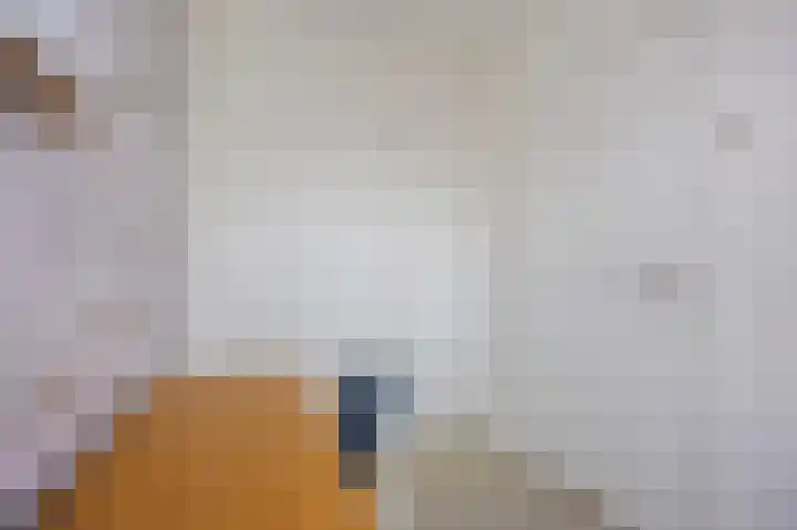 Damsterdiep 181 Groningen thumbnail 26