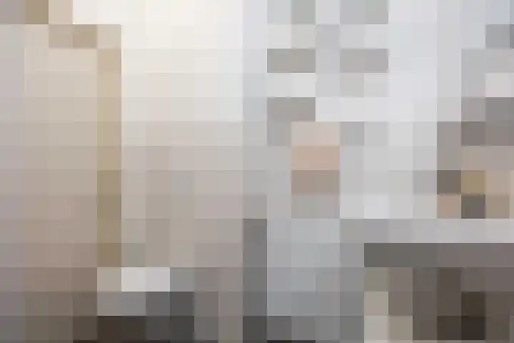 Damsterdiep 181 Groningen thumbnail 29