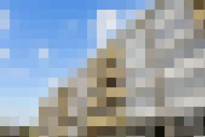 Damsterdiep 181 Groningen thumbnail 30
