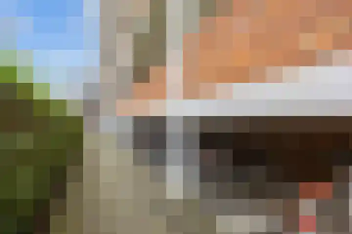 Damsterdiep 181 Groningen thumbnail 31