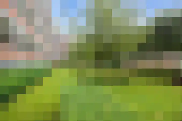 Damsterdiep 181 Groningen thumbnail 32