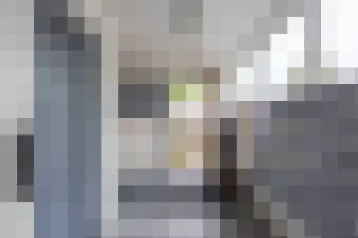 Damsterdiep 181 Groningen thumbnail 5