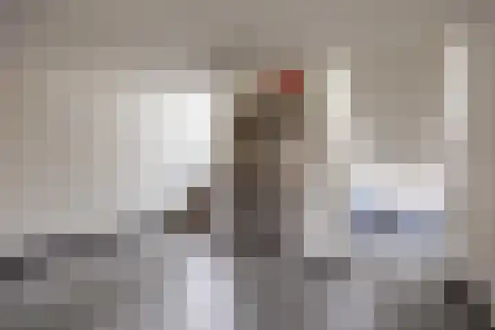 Damsterdiep 181 Groningen thumbnail 6