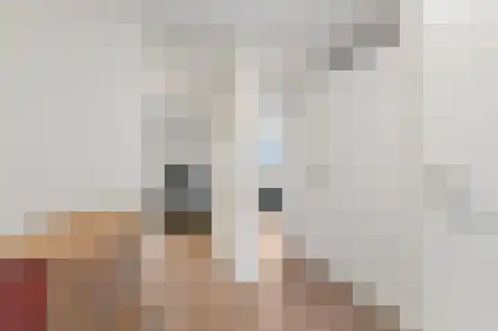 Damsterdiep 19 Dordrecht thumbnail 38