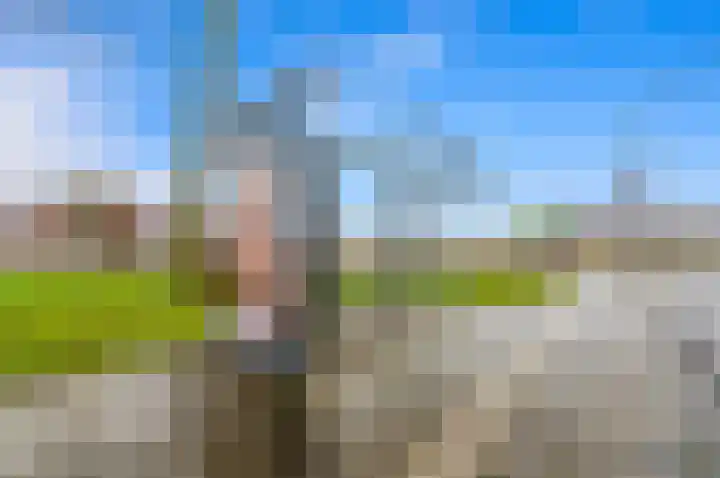 Damsterdiep 19 Dordrecht thumbnail 44