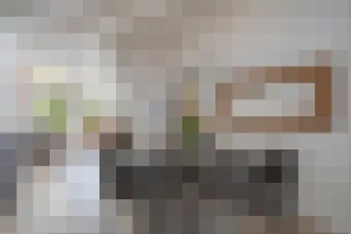 Damsterdiep 200 Groningen thumbnail 10