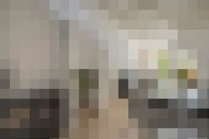 Damsterdiep 200 Groningen thumbnail 11