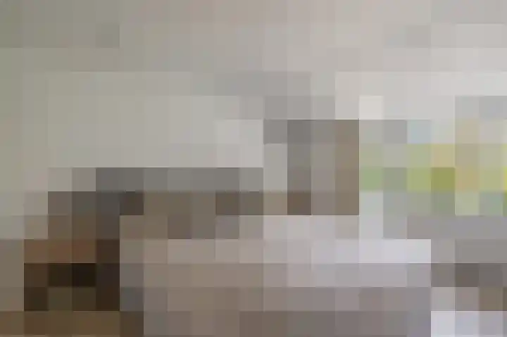 Damsterdiep 200 Groningen thumbnail 22