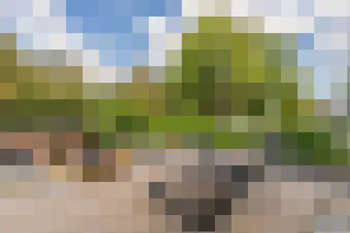 Damsterdiep 200 Groningen thumbnail 26