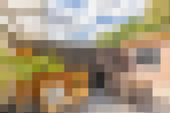 Damsterdiep 200 Groningen thumbnail 30