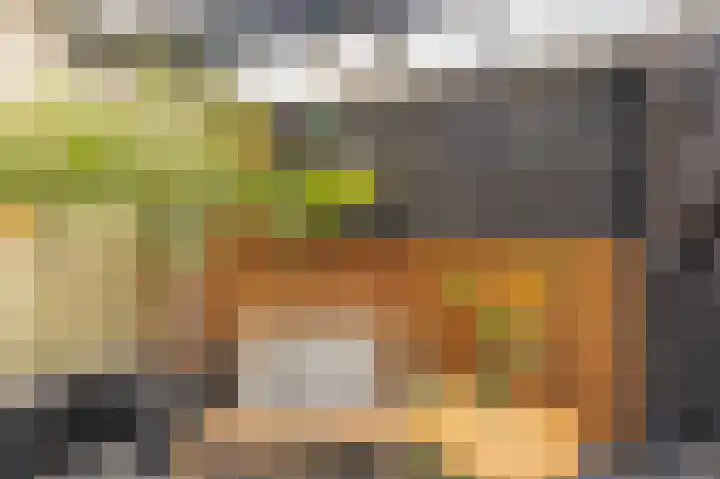 Damsterdiep 200 Groningen thumbnail 31