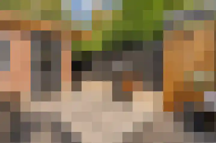 Damsterdiep 200 Groningen thumbnail 33