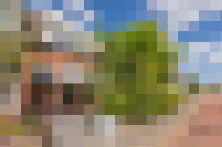 Damsterdiep 200 Groningen thumbnail 35