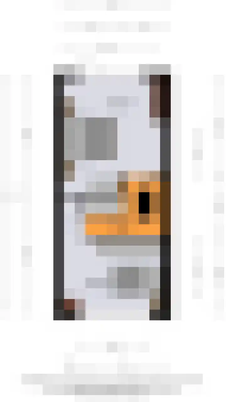Damsterdiep 200 Groningen thumbnail 40