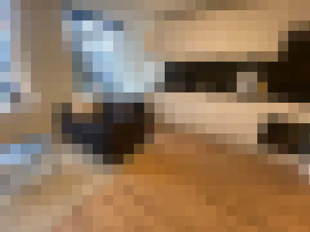 Damsterdiep 22 Groningen thumbnail 4