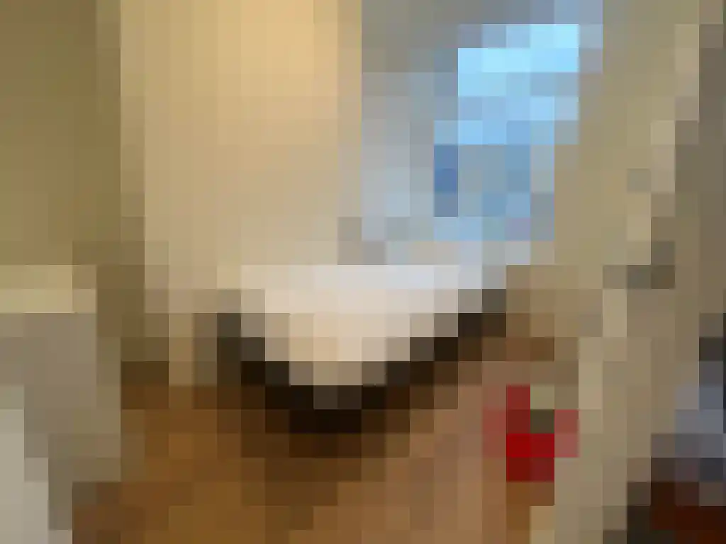 Damsterdiep 22 Groningen thumbnail 5