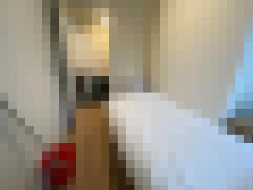 Damsterdiep 22 Groningen thumbnail 6