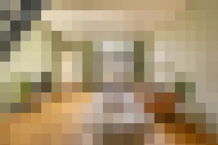 Damsterdiep 256 Groningen thumbnail 12