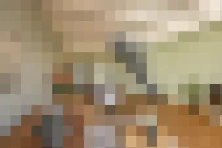 Damsterdiep 256 Groningen thumbnail 13