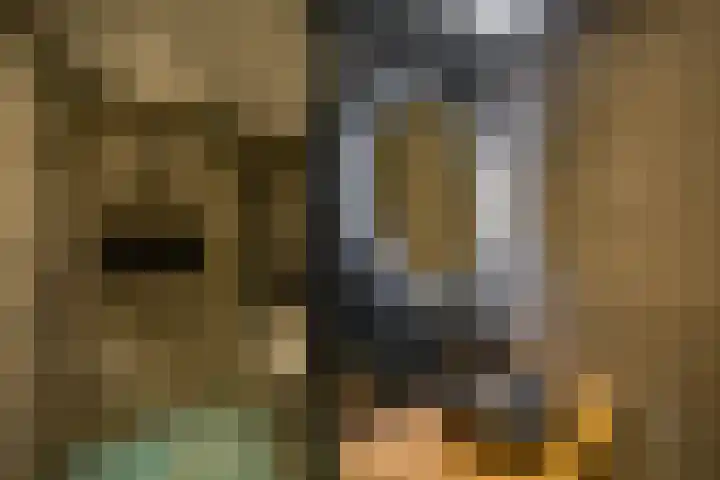 Damsterdiep 256 Groningen thumbnail 17
