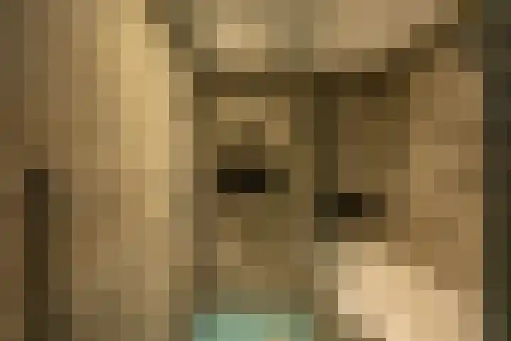 Damsterdiep 256 Groningen thumbnail 18