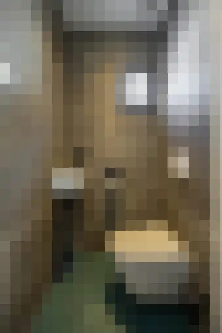 Damsterdiep 256 Groningen thumbnail 22