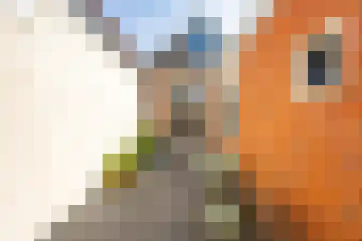 Damsterdiep 256 Groningen thumbnail 26