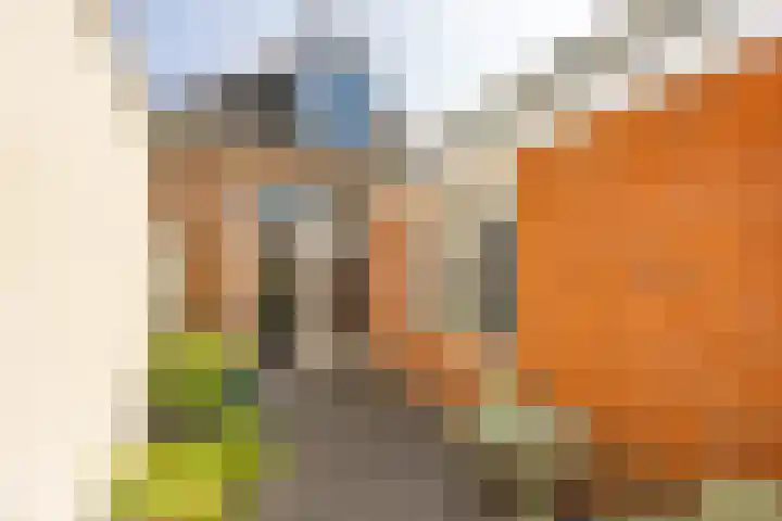 Damsterdiep 256 Groningen thumbnail 28