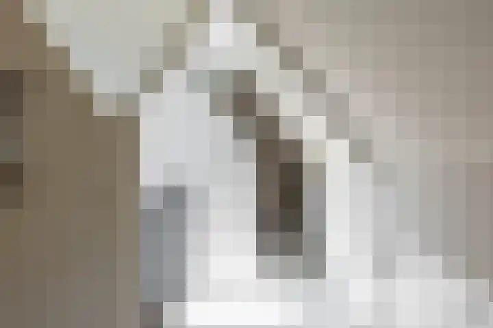 Damsterdiep 256 Groningen thumbnail 31