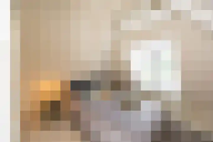 Damsterdiep 256 Groningen thumbnail 33