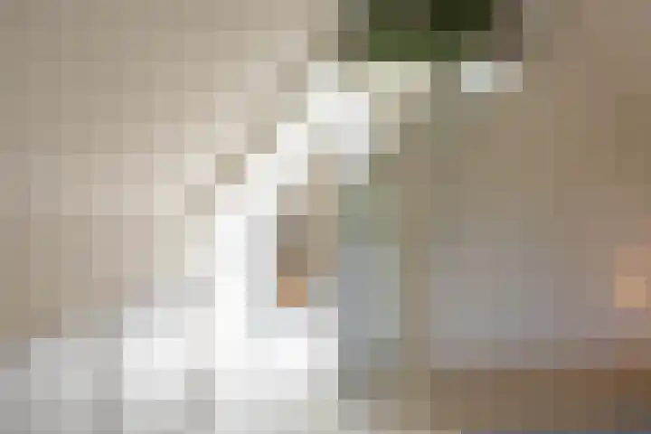 Damsterdiep 256 Groningen thumbnail 34
