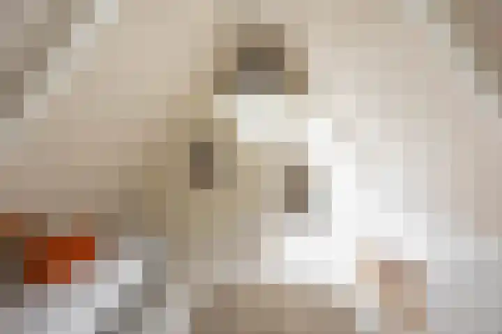 Damsterdiep 256 Groningen thumbnail 35