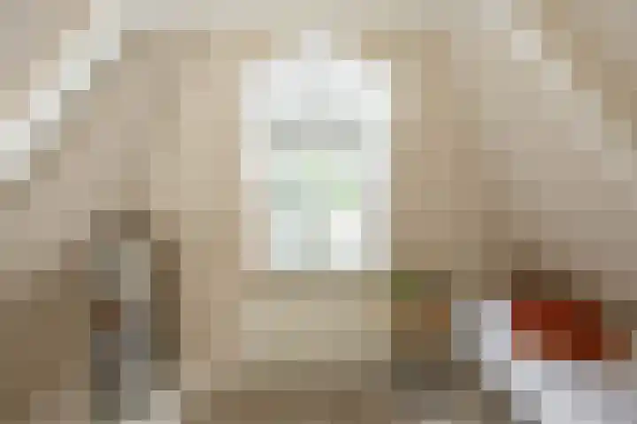 Damsterdiep 256 Groningen thumbnail 36