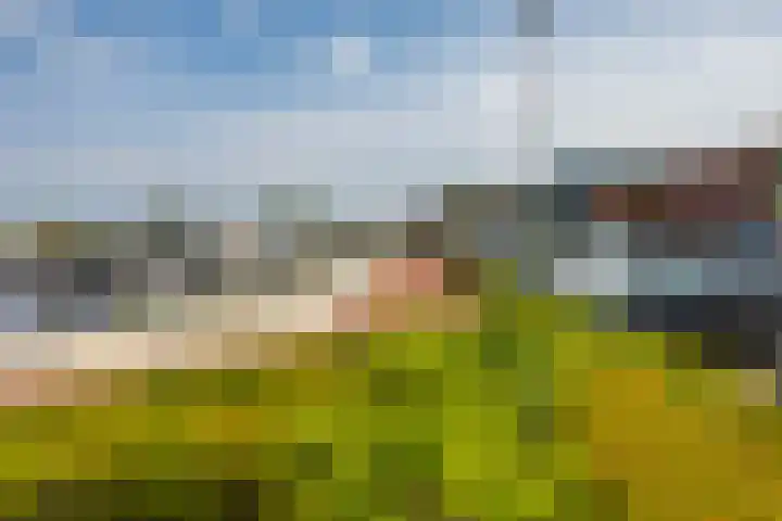 Damsterdiep 256 Groningen thumbnail 38