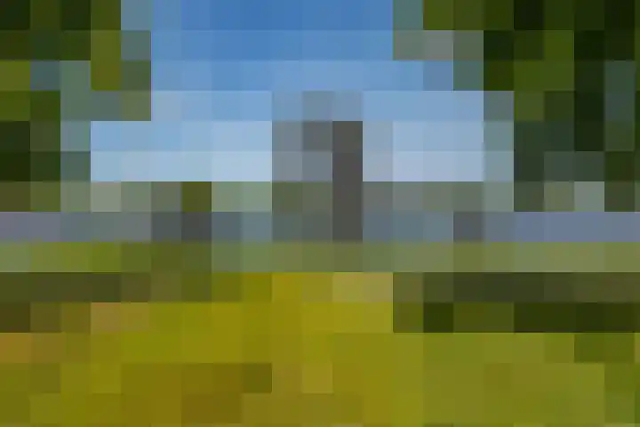 Damsterdiep 256 Groningen thumbnail 39