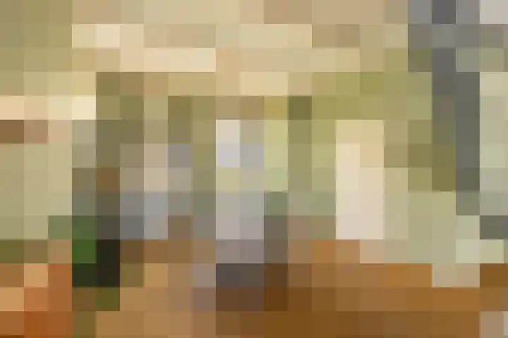 Damsterdiep 256 Groningen thumbnail 8