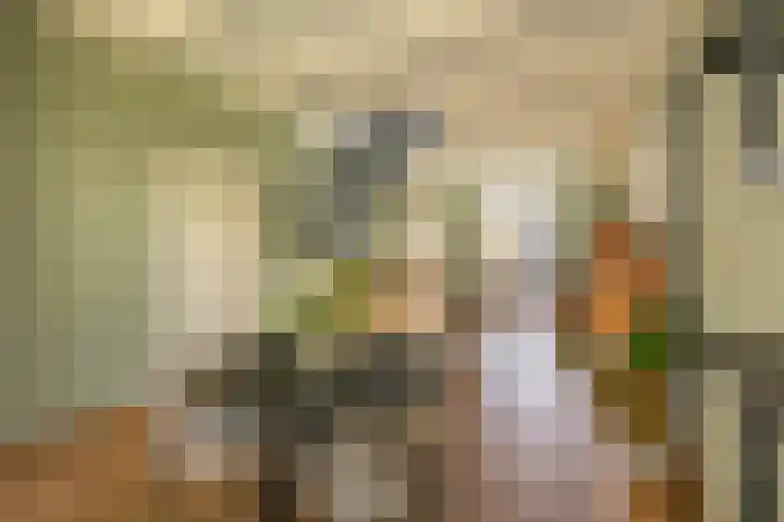 Damsterdiep 256 Groningen thumbnail 9