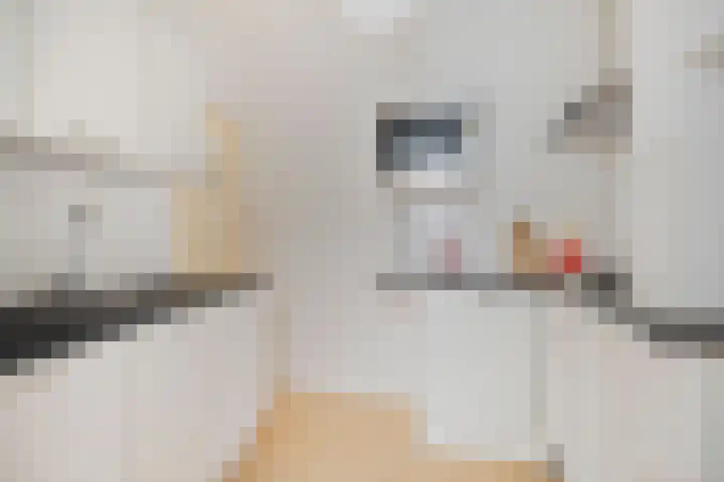 Damsterdiep 28 a Groningen thumbnail 9