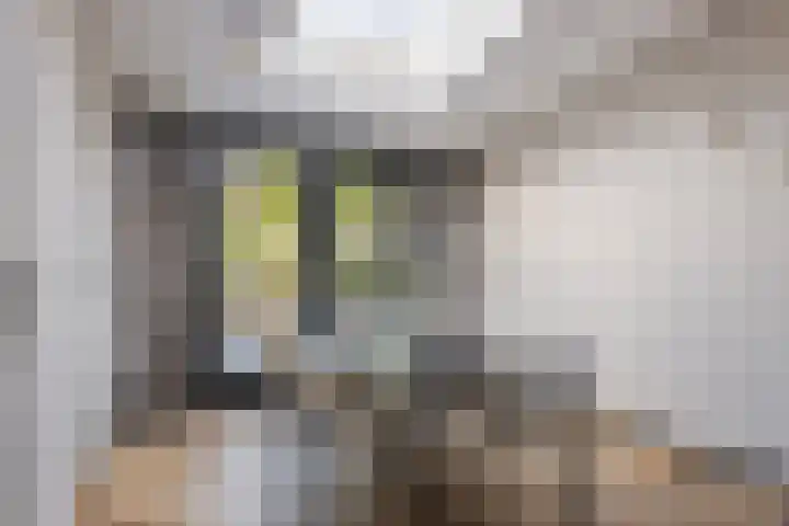 Damsterdiep 286 Groningen thumbnail 18