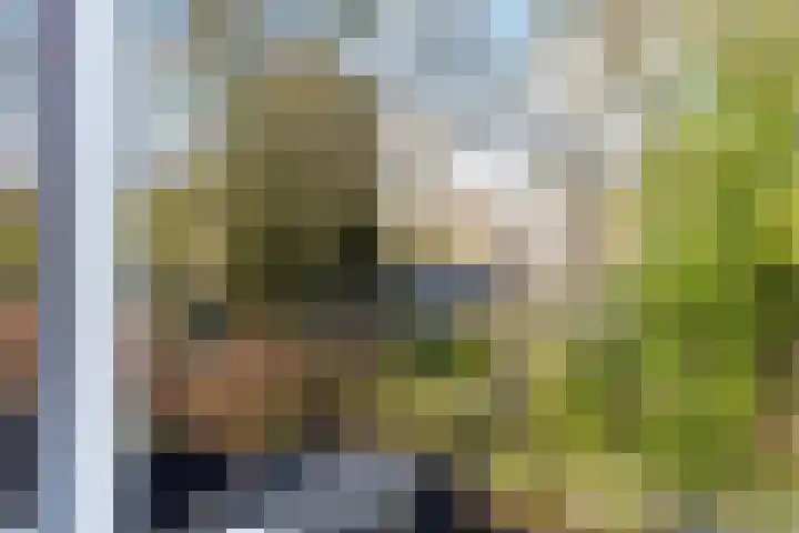 Damsterdiep 286 Groningen thumbnail 26