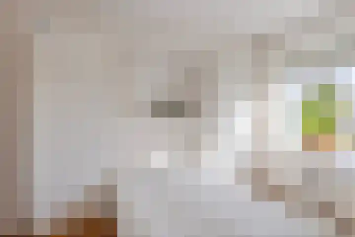 Damsterdiep 286 Groningen thumbnail 29