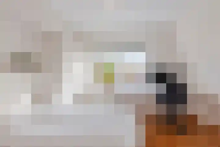 Damsterdiep 286 Groningen thumbnail 30