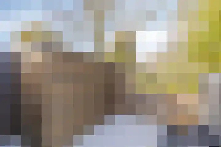 Damsterdiep 286 Groningen thumbnail 33