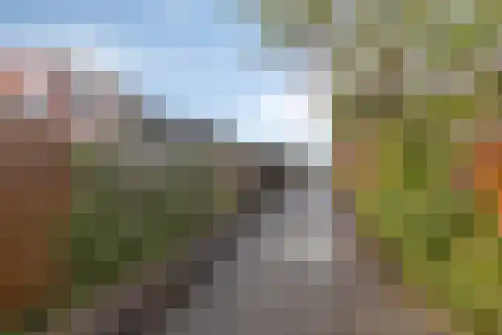 Damsterdiep 286 Groningen thumbnail 36