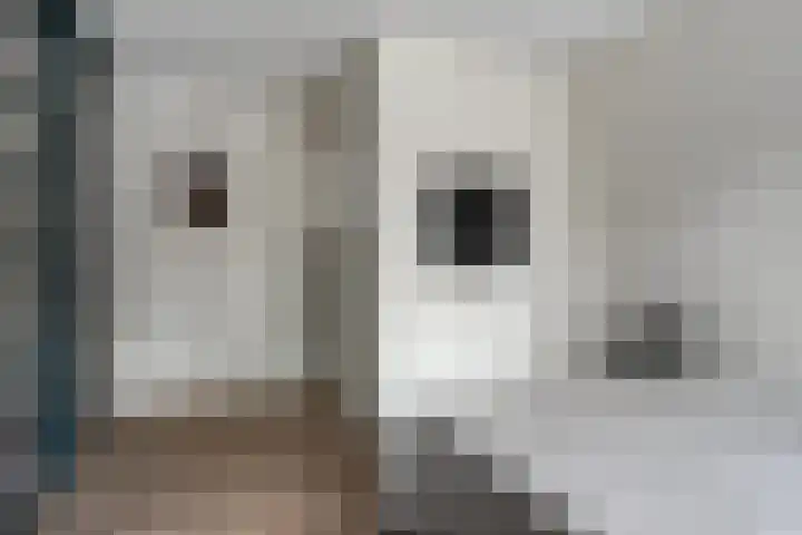 Damsterdiep 296 Groningen thumbnail 16
