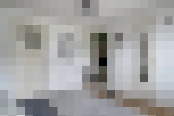 Damsterdiep 296 Groningen thumbnail 18
