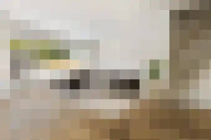 Damsterdiep 30 Dordrecht thumbnail 8