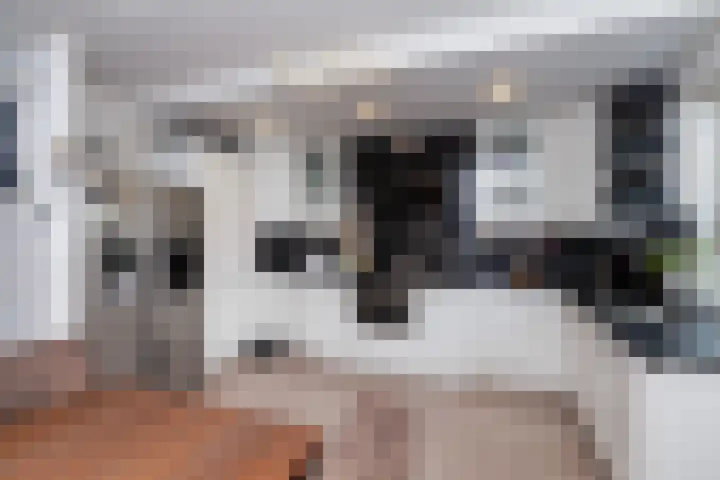 Damsterdiep 72 Dordrecht thumbnail 13